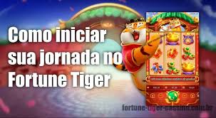 qual horário melhor para jogar o jogo jogo do tigre imagem de tela 4